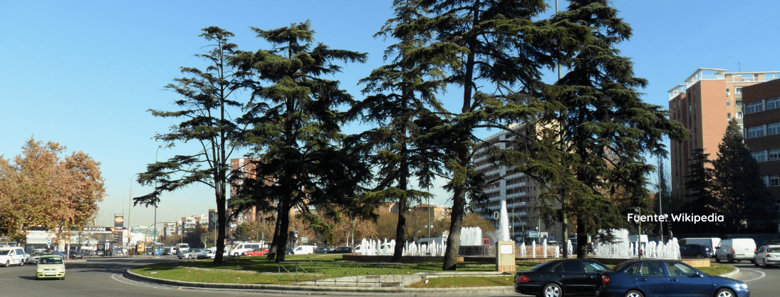 Abrantes, Carabanchel